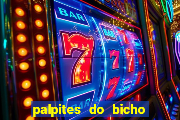 palpites do bicho no celular