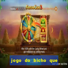 jogo do bicho que paga no pix